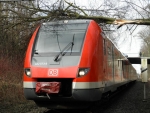 Gelsenkirchen: Baum stürzte auf S-Bahn