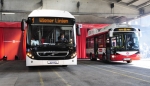 Neue Busflotte für Wien