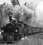 Dampfsonderzug „Tag der Eisenbahnmuseen“ am 24. August 2013