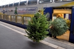 Weihnachtsbäume fahren gratis Zug