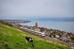 Zwei Lötschberger-Züge der BLS fahren neu für Kambly