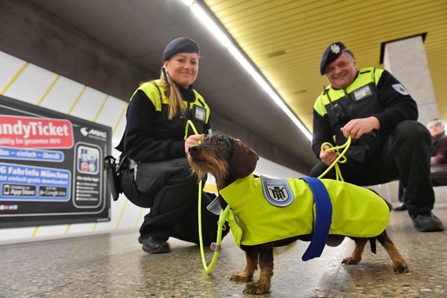 Diensthunde für die Münchner U-Bahnwache