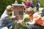 Grundschüler bauen Bienenhotels