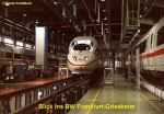 Blick in BW Frankfurt Griesheim