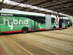 Hybridbusflotte des VRR